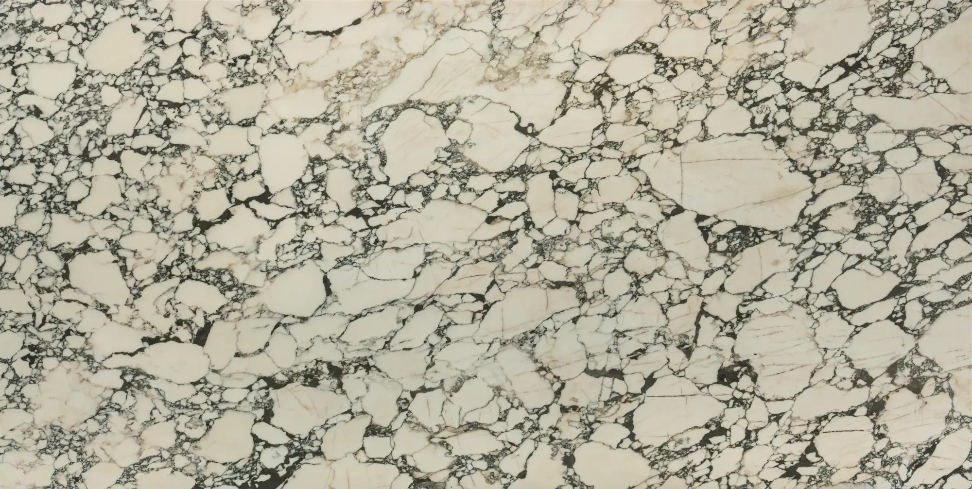 Calacatta Monet quartz slab