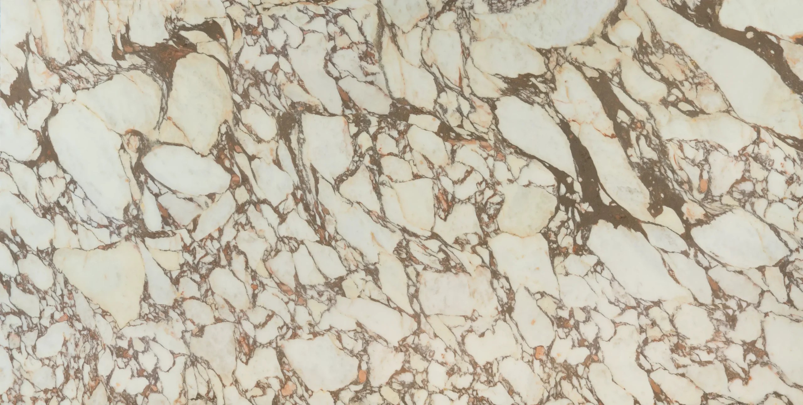 Calacatta Viola quartz slab